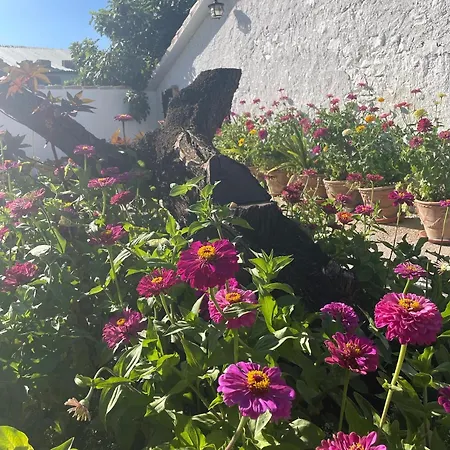 Cortijo El Prado Ll Holiday home Castril
